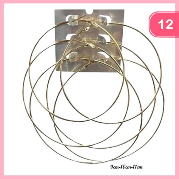 Metal Hoop Earring (12 Units)