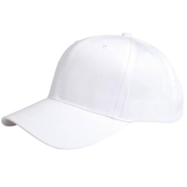 PRO STYLE TWILL CAP