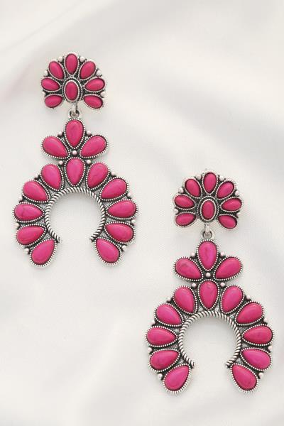 Western Horse Shoe Post Earring