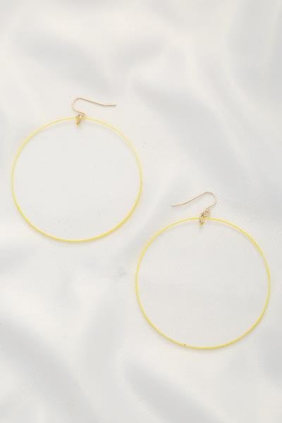 TRANSPARENT ROUND DANGLE EARRING