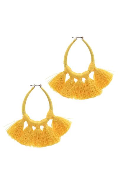 Teardrop Shape Tassel Drop Earring