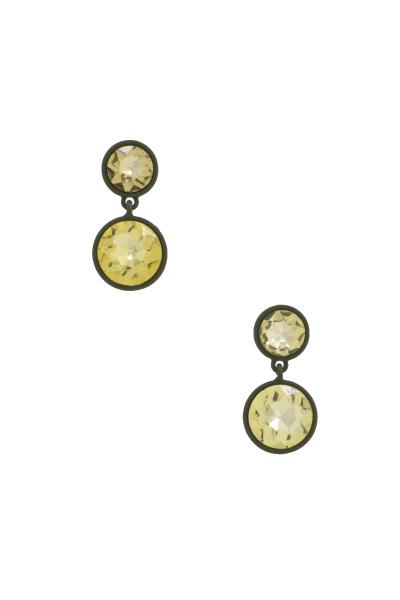 Double Circle Earring
