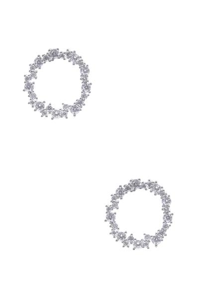 Cubic Zirconia Outline Round Shape Earring