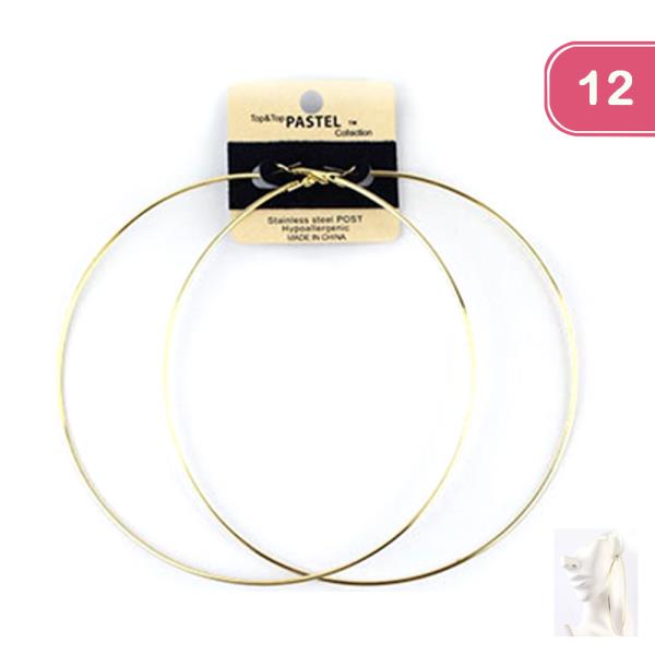 Metal Hoop Earring (12 Units)