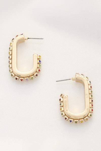 Oval Crystal Edge Metal Earring