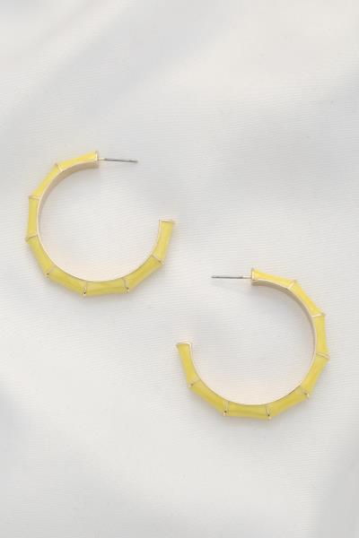 Bamboo Pattern Color Metal Earring