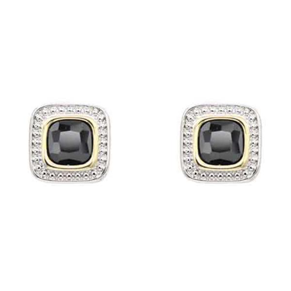 2 Tones with Clear Cubic Zirconia Earrings