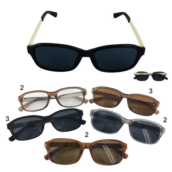 Round Square Clear and Shade Sunglasses 1DZ