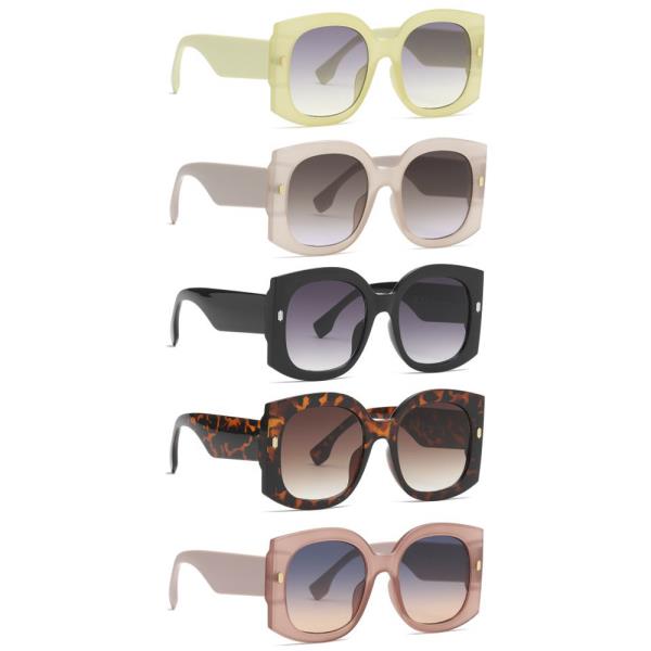 Round Square Sunglasses 1DZ