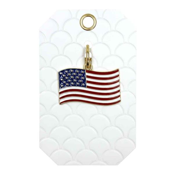 USA Flag PDN Keyring Attached