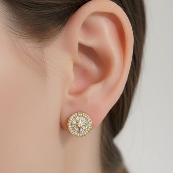 14K White Gold Dipped Compass Star Earrings CZ