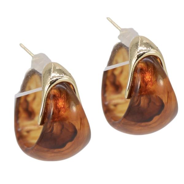 Resin Teardrop Hoop Earring