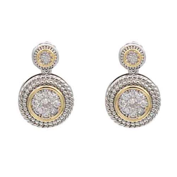 Two Tone Plated Earring