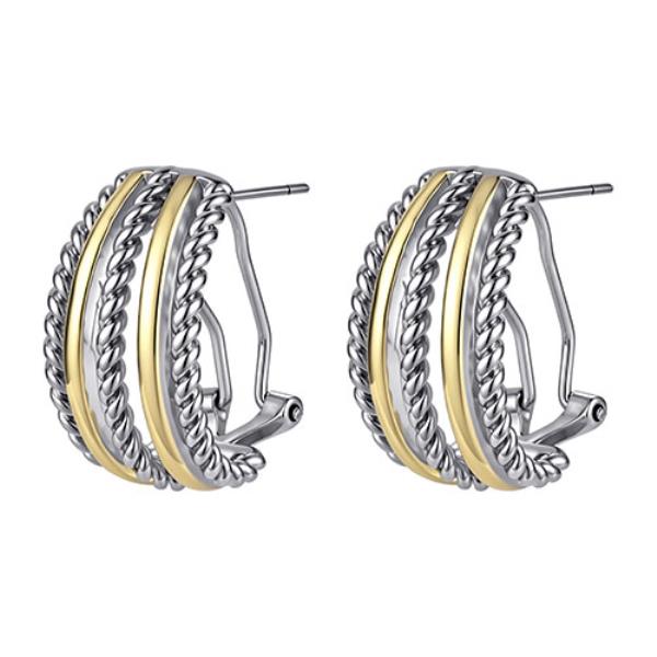 TWO TONE FRENCH BACK EARRING
