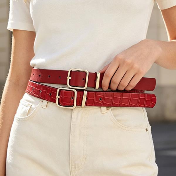 DUAL SQUARE BUCKLE THIN WAIST BELTS SET