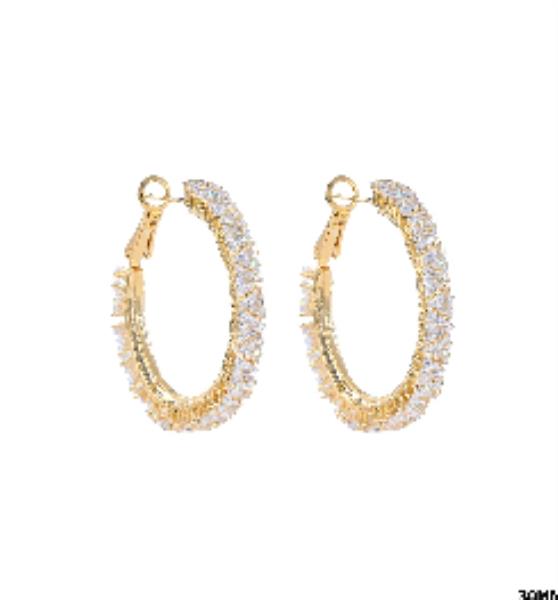 CZ Embellished Hoop Earrings
